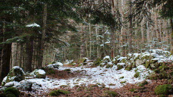 Beau sentier enneigé