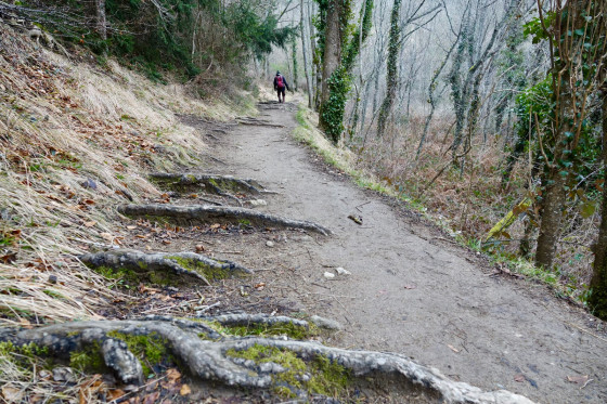 Beau sentier...