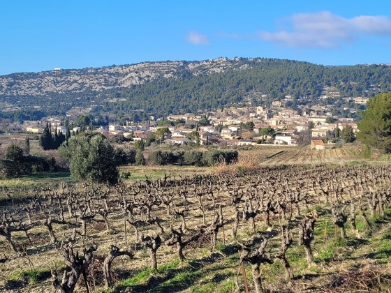 Beaumes-de-Venise