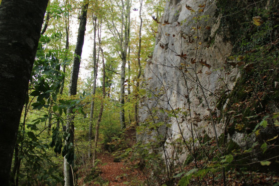Bei der Kaisereiche - Felsen am Wegesrand