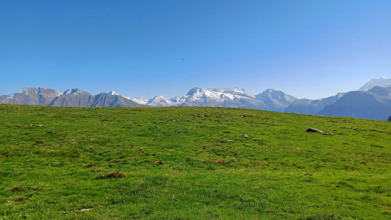Belalp