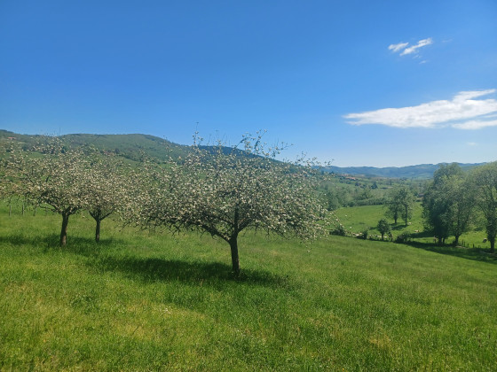 Belle journ&eacute;e dans les monts du lyonnais