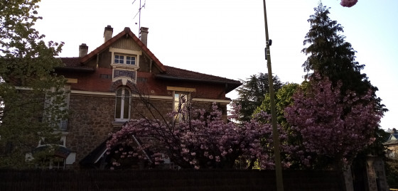 Belle maison