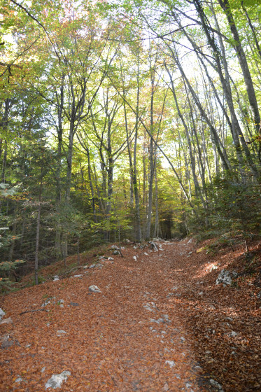 Belle mont&eacute;e