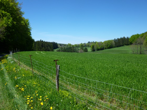 Belle perspective entre le Rec de Biou et La Souque