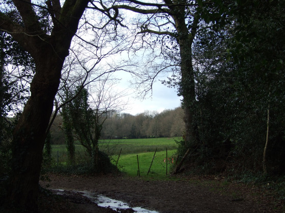 Belle prairie