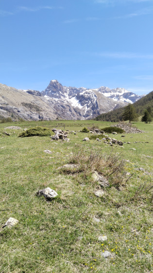 Vu avant le point 6