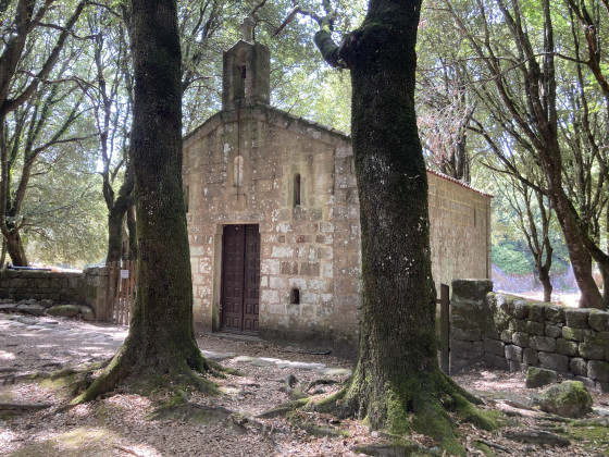 Belle randonnée au frais sous les pins