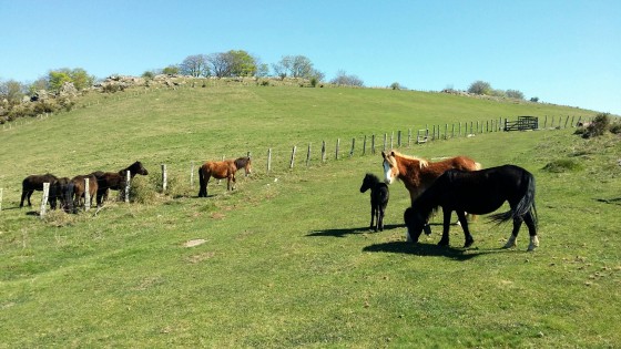 belle rencontre