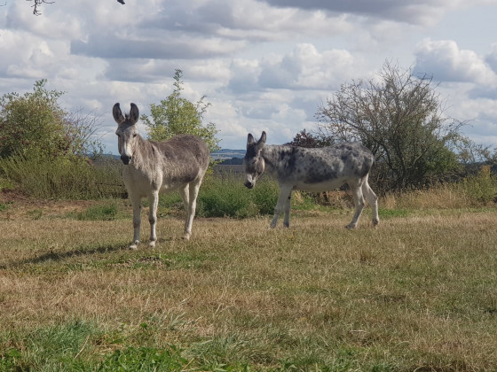 Belle rencontre