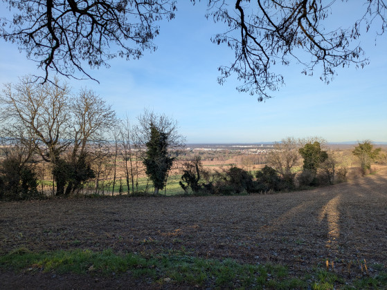 Point de vue vers Mulhouse