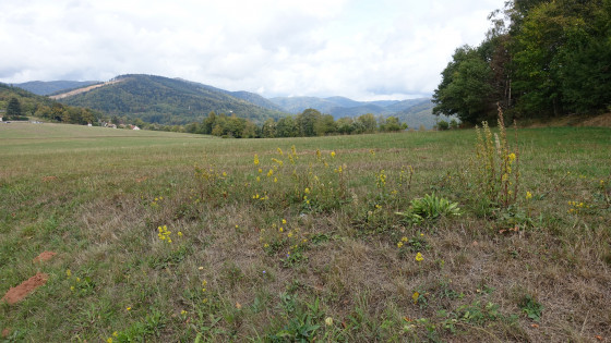 belle vue sur la carrière de Giromagny et les Vosges