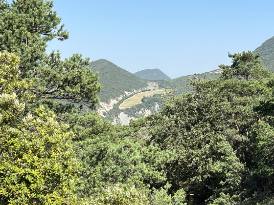 Belle vue sur le Ventoux