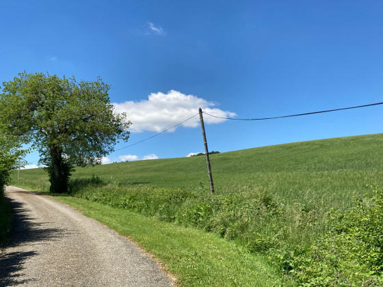 Belle vue sur les collines