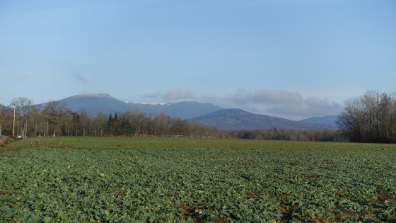 Belle vue sur les Vosges à la sortie de Petitefontaine