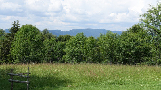Les Vosges