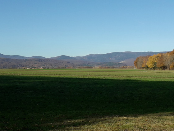 Belle vue sur les Vosges