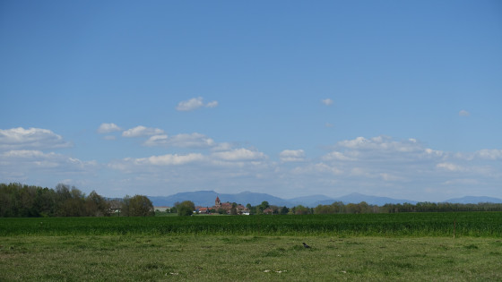 Belle vue sur les Vosges