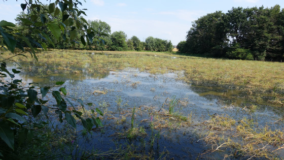 Belle vue sur un &eacute;tang