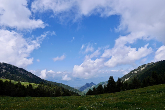 Belle zone de pacage avant les gorges du Llech