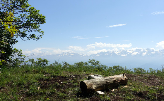 Belledonne