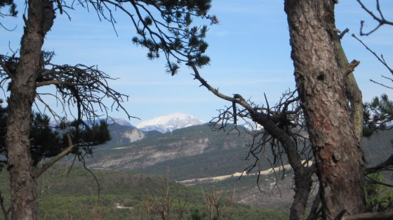 Bellegarde