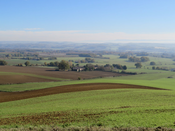 Belles courbes
