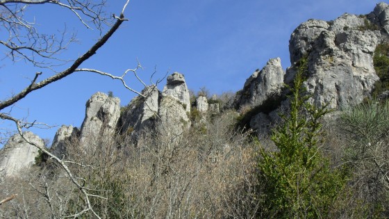 belles falaises