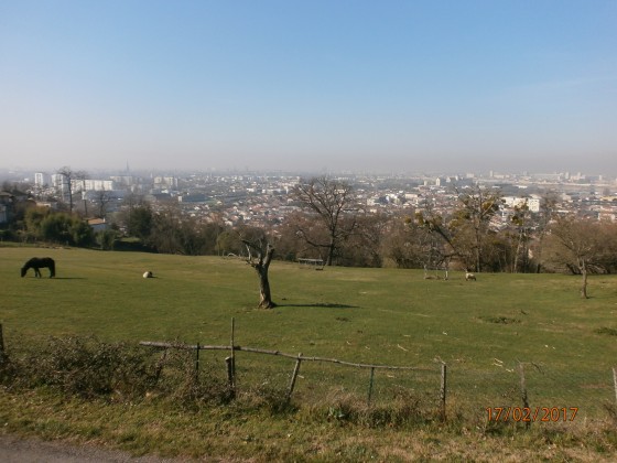 Belvédère de Bellevue
