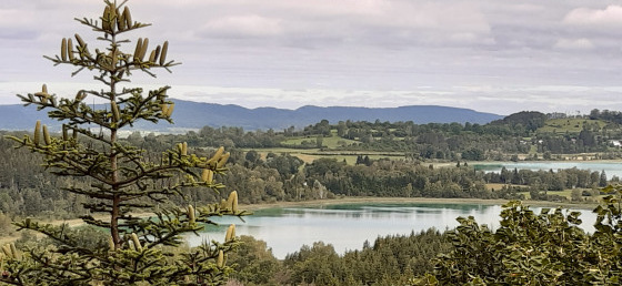 Belvédère de la Scie