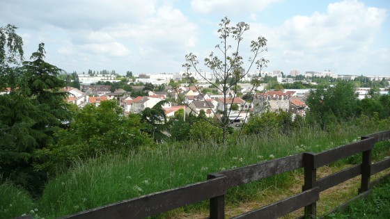 Belvédère du Cèdre penché