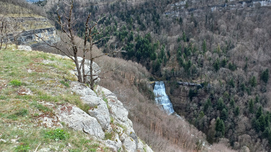 Belvédère Eventail