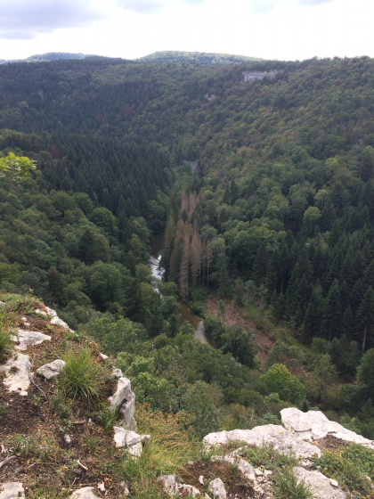 Belv&eacute;d&egrave;re