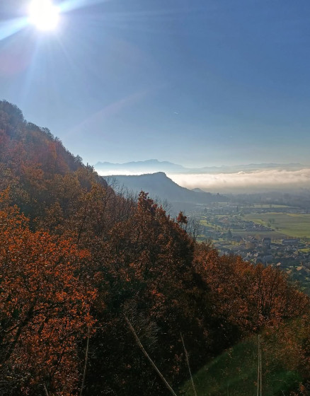 Belvédère
