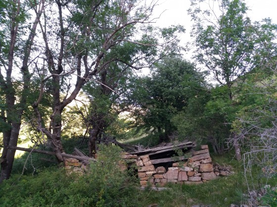 Bergerie abandonnée