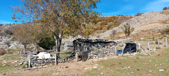 Bergerie de Peri