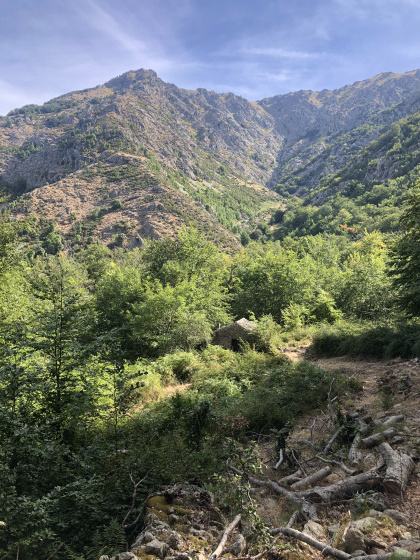 Bergerie du Castagnu