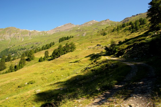 Bergerie en vue