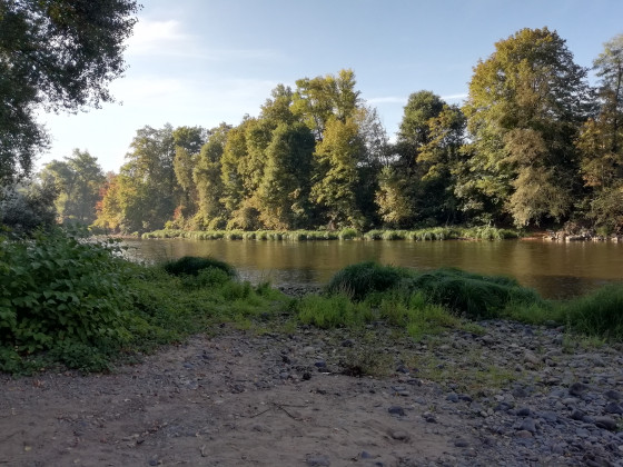 Berges de l\'Allier