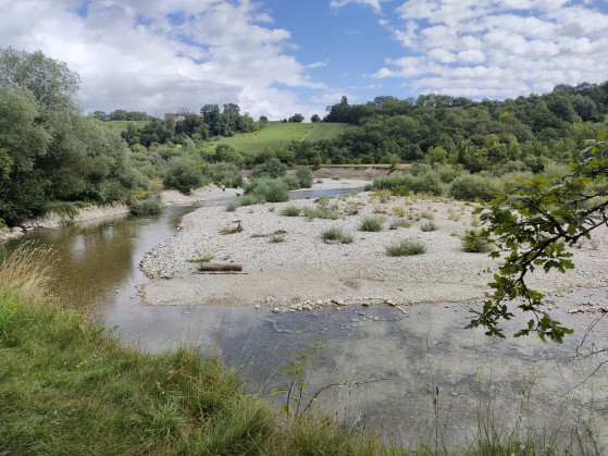 Berges de l'Allondon