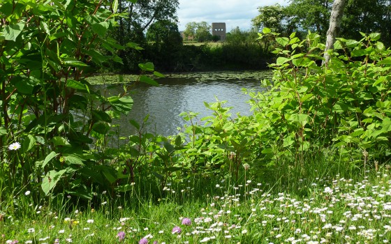 Berges de l\'Arroux.
