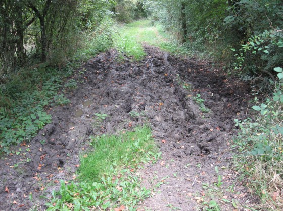 Berry-Bouy. Chemin de randonnée de Bois Cordier vers la Sauderie.
