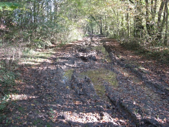 Berry-Bouy. Chemin vers Valleau-Mazières.