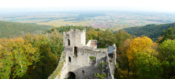 Berstein