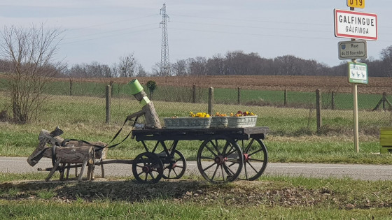 Bienvenue &agrave; Galfingue !