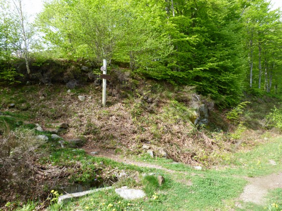 Bifurcation à 1280 m