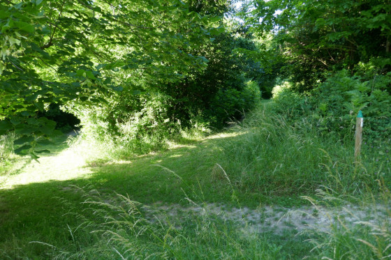 Bifurcation &agrave; bien situer