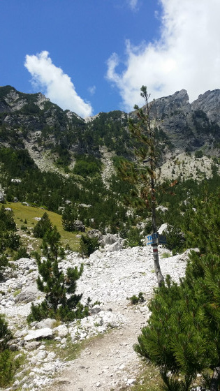 Bifurcation dans le vallon de Valbone