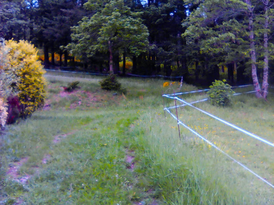 Bifurcation de la Cami&egrave;re