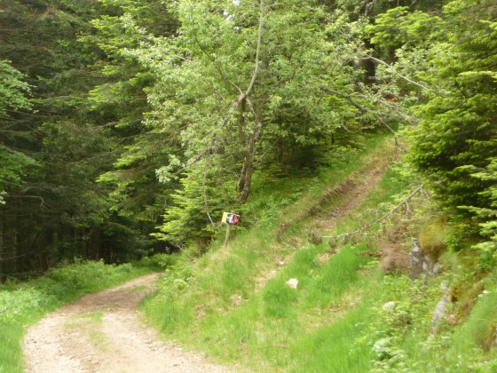 Bifurcation du sentier Fantastique